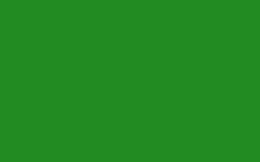 Verde Foresta Per Di Colore Solido Web Sfondo HD