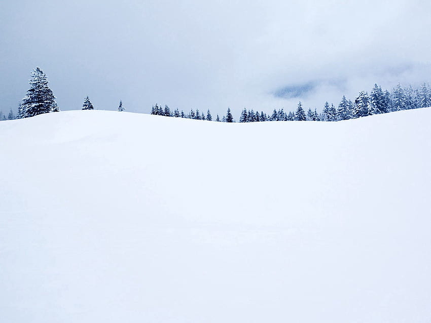 Inverno, Neve, Minimalismo, Campo, Ate, Capa papel de parede HD