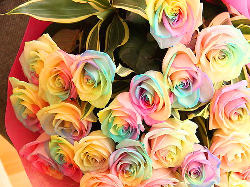 HAPPY BIRTAY TALANA, blue, roses, colors, gold, pink, rainbow, green, yellow, flowers HD wallpaper