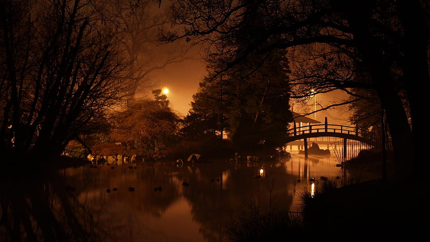Japanese gardens wrocław dark landscapes night HD wallpaper