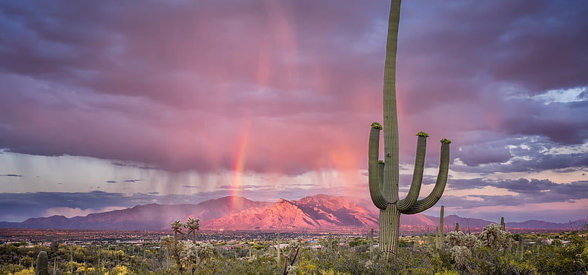 Tucson Frequently Asked Questions. Things to Do in Tucson, Tucson AZ HD wallpaper