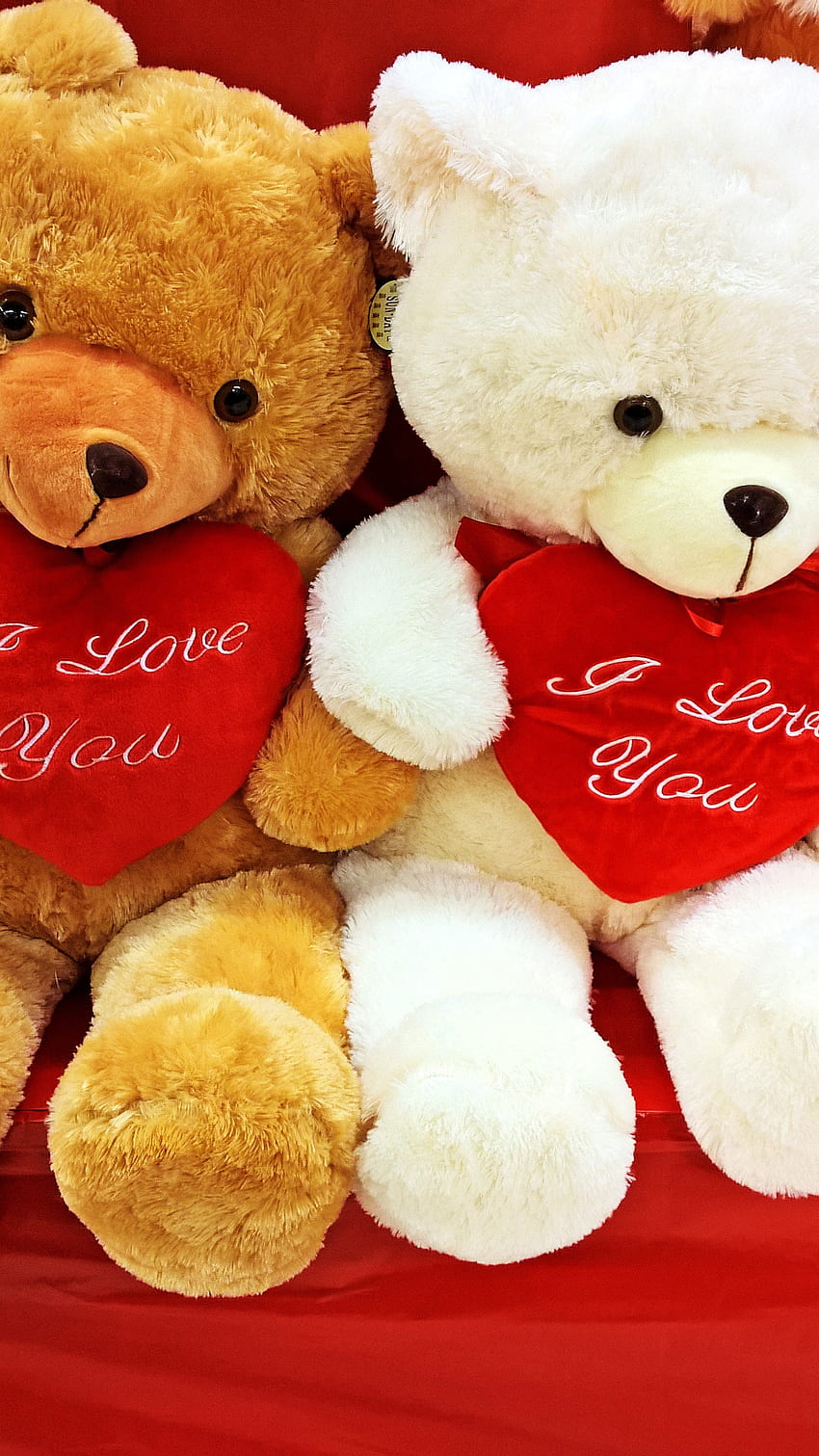 Teddy Bear Ka, Valentines Day, Love HD phone wallpaper | Pxfuel