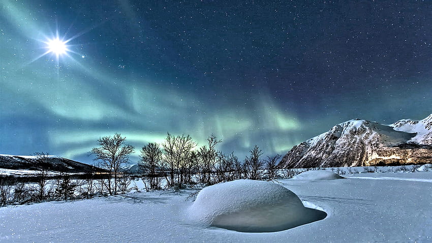 Northern Lights in Norway, Winter, Nature, Sky, Snow HD wallpaper