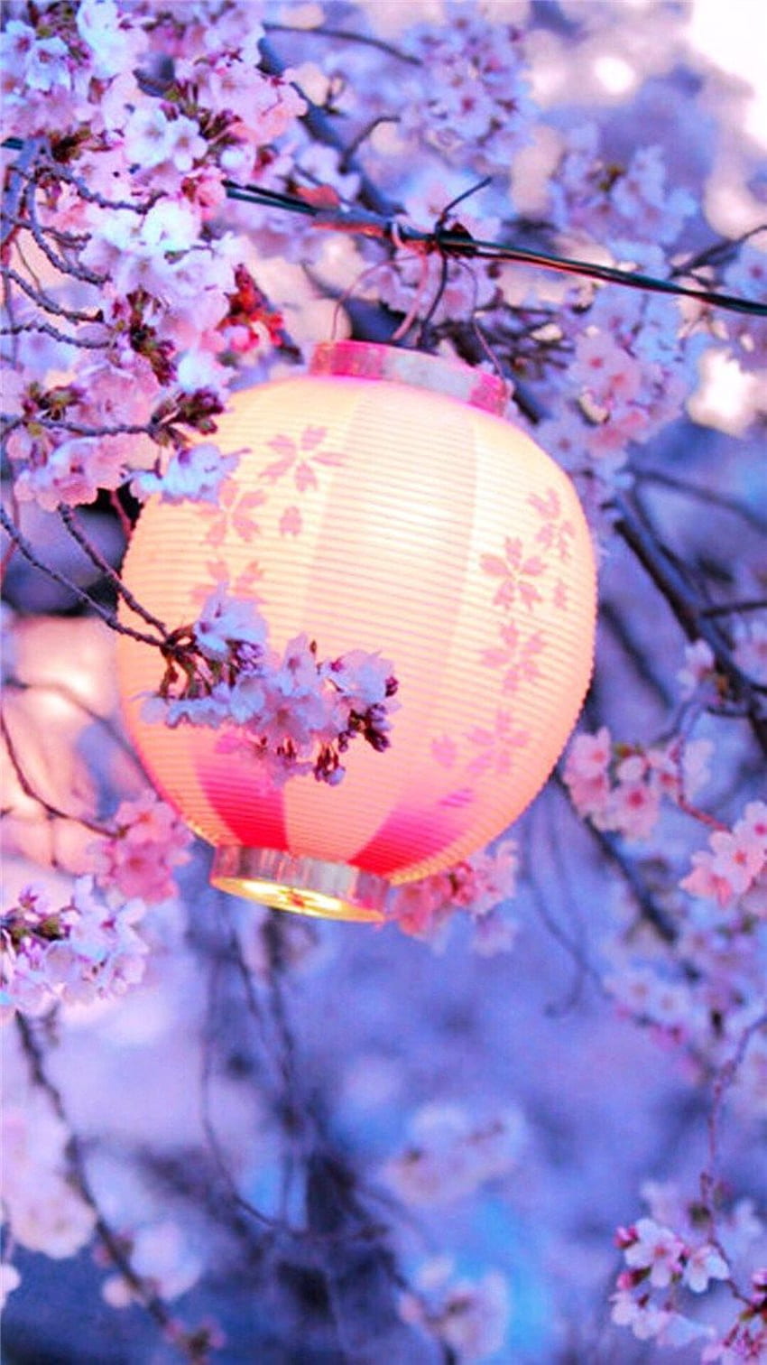 Download Sakura Tree Soft Aesthetic Wallpaper | Wallpapers.com
