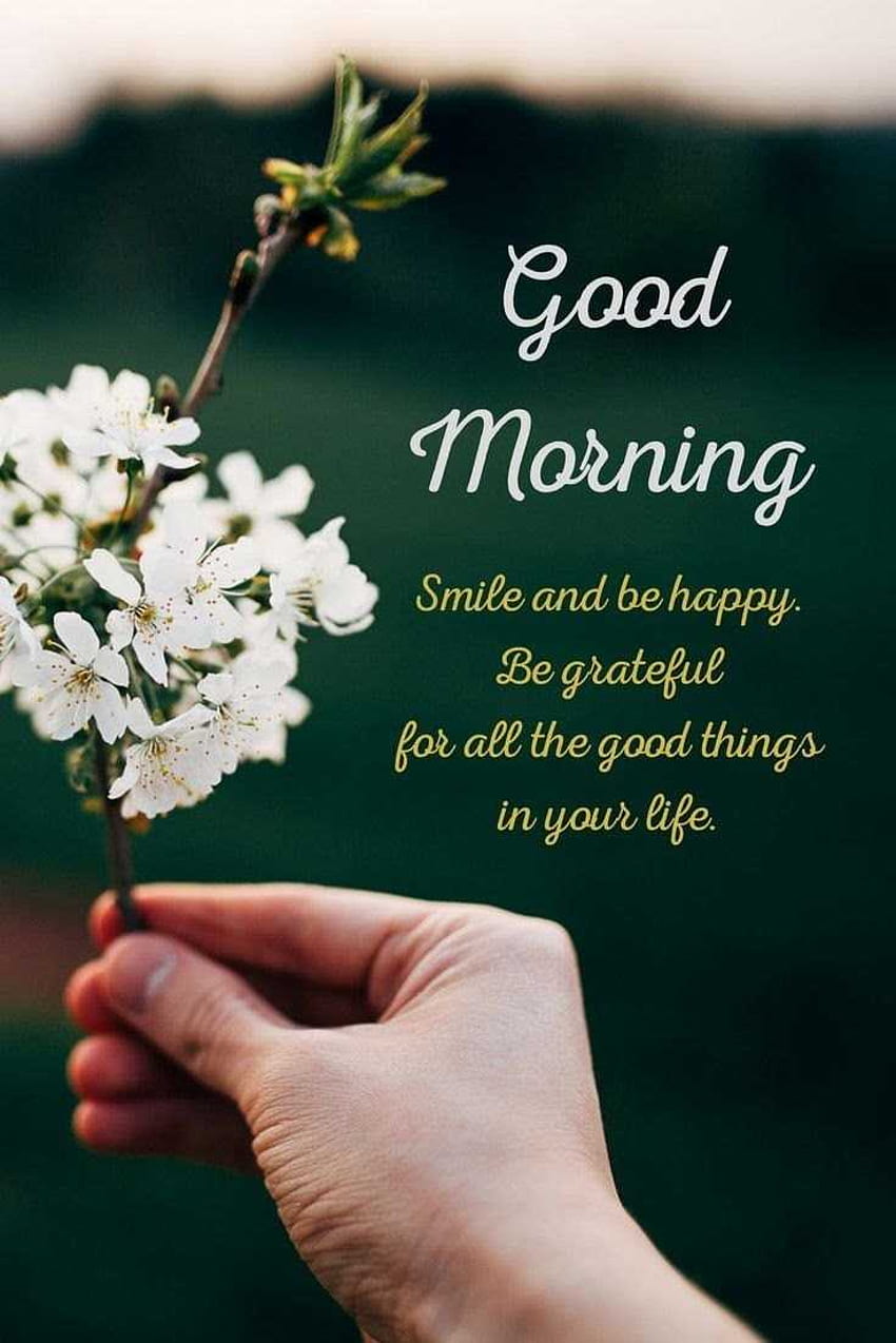 Good Morning Quotes with Beautiful – tiny Positive HD phone ...