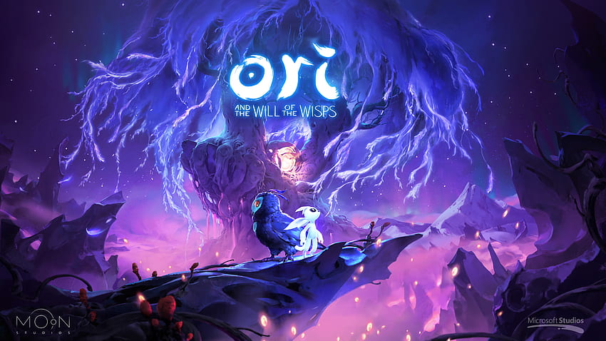 Ori and the Will of the Wisps, jeu de Microsoft Studio Fond d'écran HD