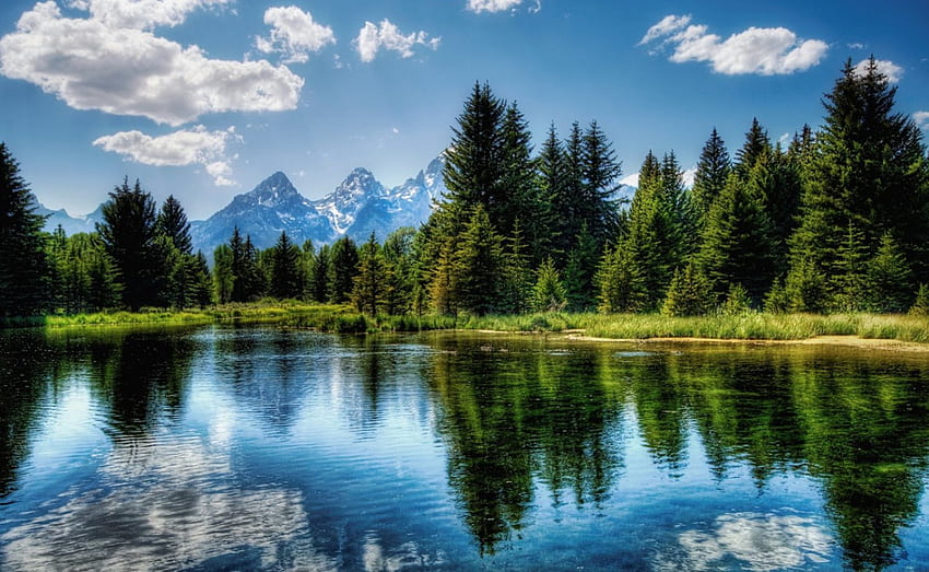 Lac de montagne, herbe, montagne, lac, lumière du jour, jour, réflexion, nuages, arbres, nature, ciel, eau, forêt Fond d'écran HD