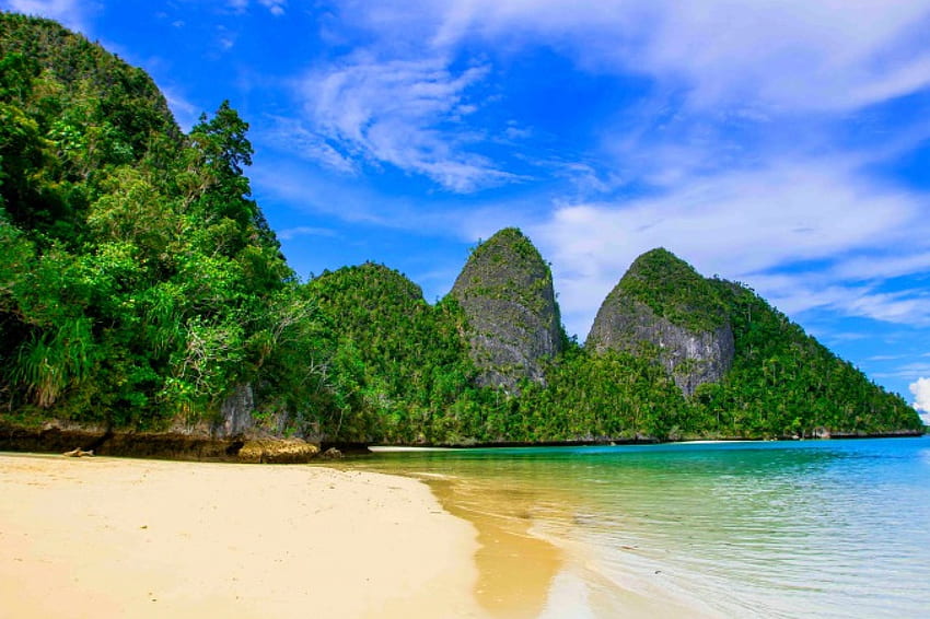 Wayag Beach, wyspa, morze, piasek, raj, piękna, plaża, lato, skały wapienne, chmury, drzewa, Indonezja Tapeta HD