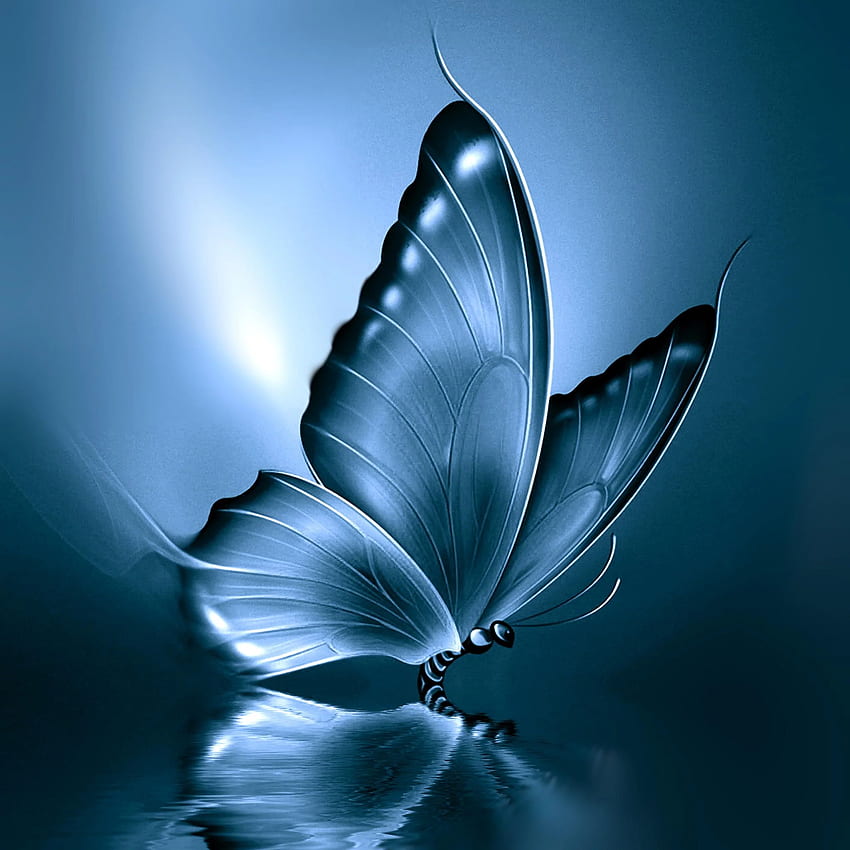 Niebieskie światło, Josep Sumalla / 500px. Niebieski motyl, piękna sztuka motyli, tło motyla Tapeta na telefon HD