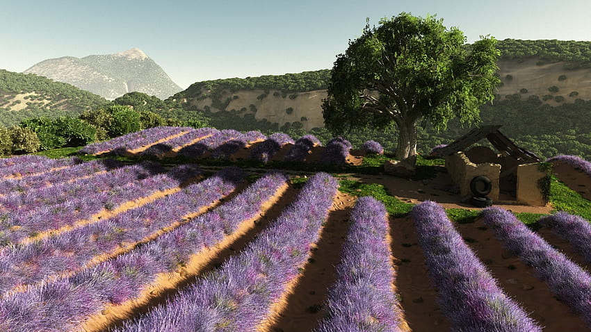 Art field flowers lavender lilac buildings trees hills rows mountains . HD wallpaper