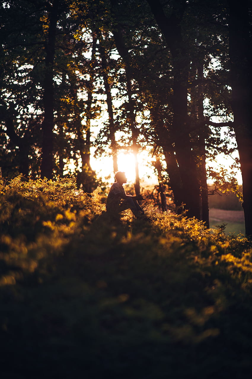 Sonne, Schein, Licht, Diverses, Sonstiges, Wald, Mensch, Mensch, Einsamkeit HD-Handy-Hintergrundbild
