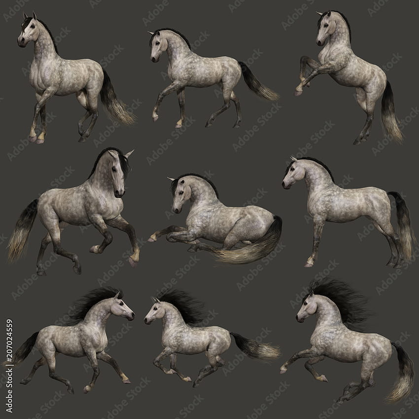 Dapple Grey Horse, 3D CG Stock Illustration, Dapple Gray Horse HD phone wallpaper
