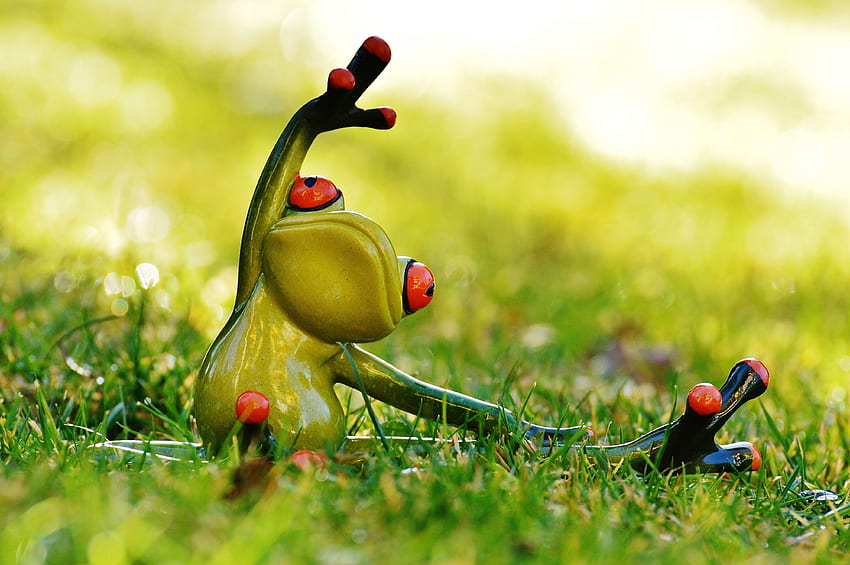 Meadow, Frog, Fig, Yoga, Animal, Green, red, grass HD wallpaper