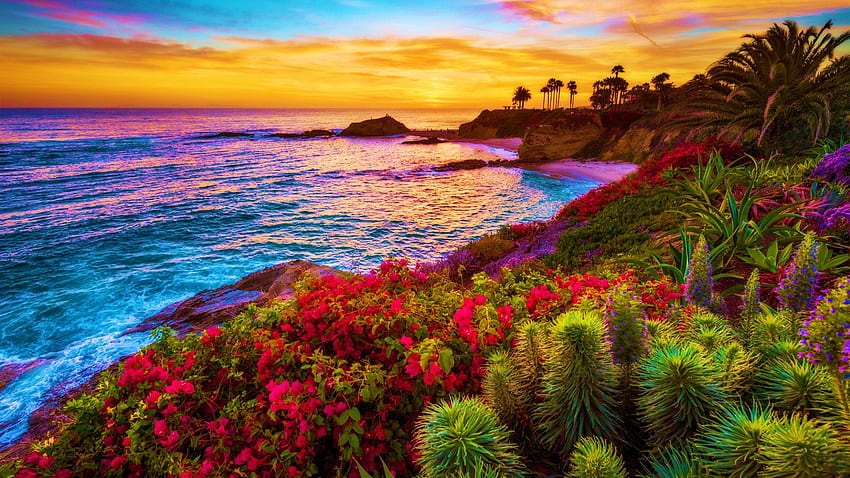 Sunset at the Beach, sea, tropics, coast, colors, sky, flowers, sunset ...