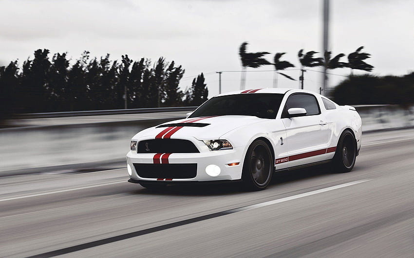  Mustang GT negro, Mustang blanco y negro fondo de pantalla