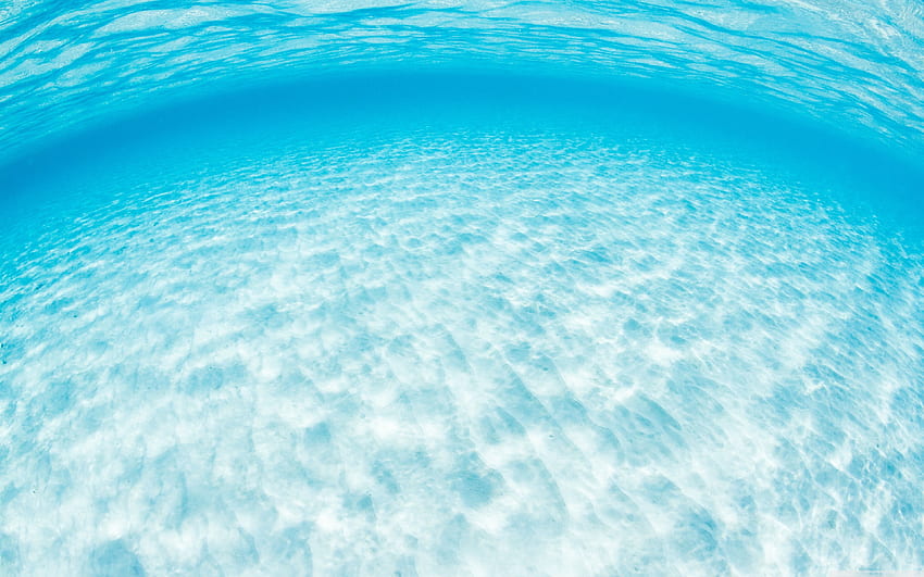 An Underwater View Of Crystal Clear Tropical Water Ultra, Pure Water HD wallpaper