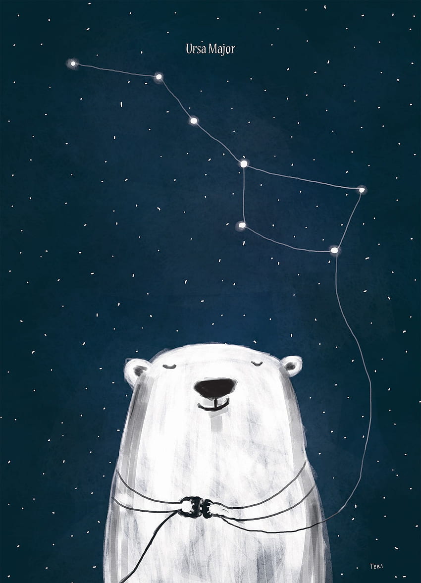Arctic Constellations - Ursa Major. Who doesn't love a cute bear, Leo Constellation HD phone wallpaper