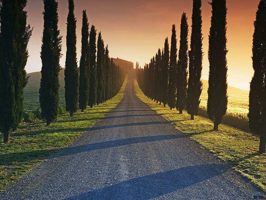 Tuscany : , , for PC and Mobile. for iPhone, Android, Tuscany Italy HD wallpaper