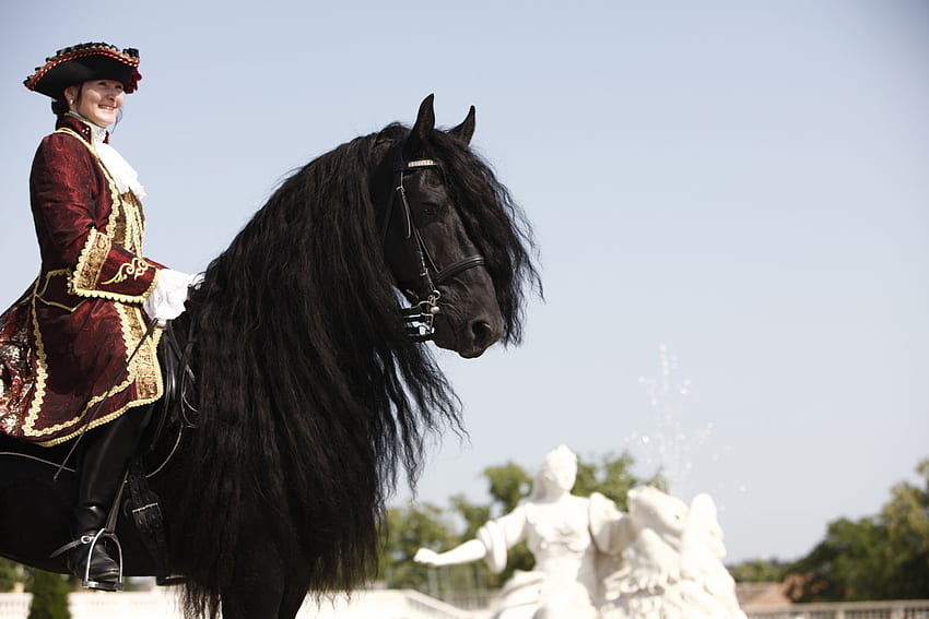 Proudly Mounted, horses, black, friesian, dutch, draft horse HD wallpaper