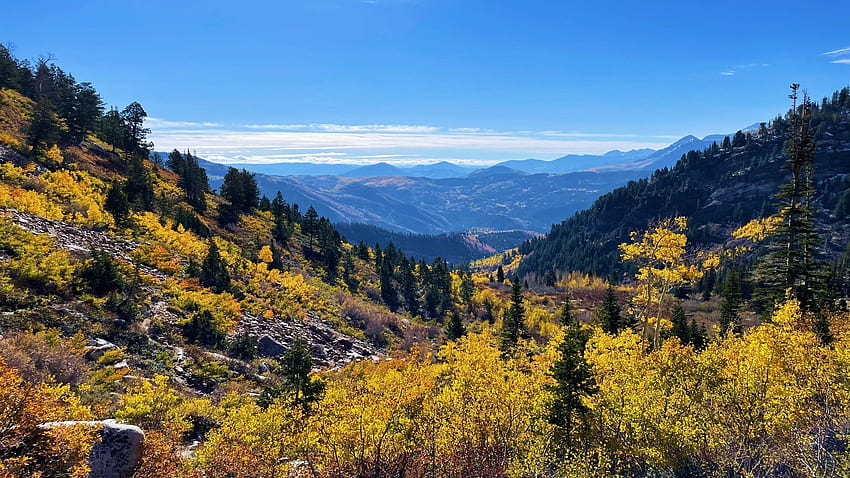ローン ピークの荒野、ユタ州、秋、色、木、風景、雲、空、山、アメリカ、秋 高画質の壁紙
