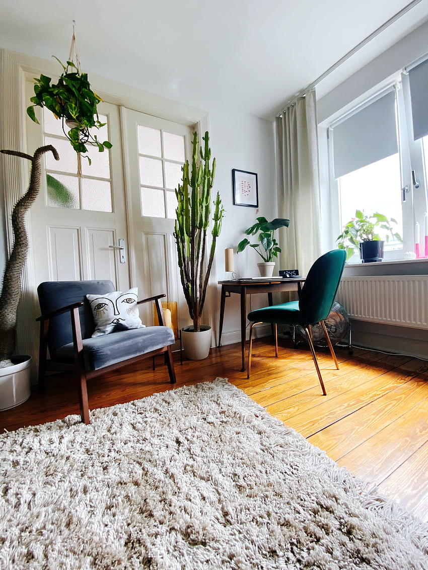 Interior, , , Table, Room, Armchair, Indoor Plant, Houseplant HD phone wallpaper