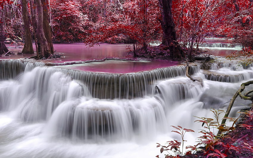Air terjun, merah muda, musim gugur, air, pohon Wallpaper HD