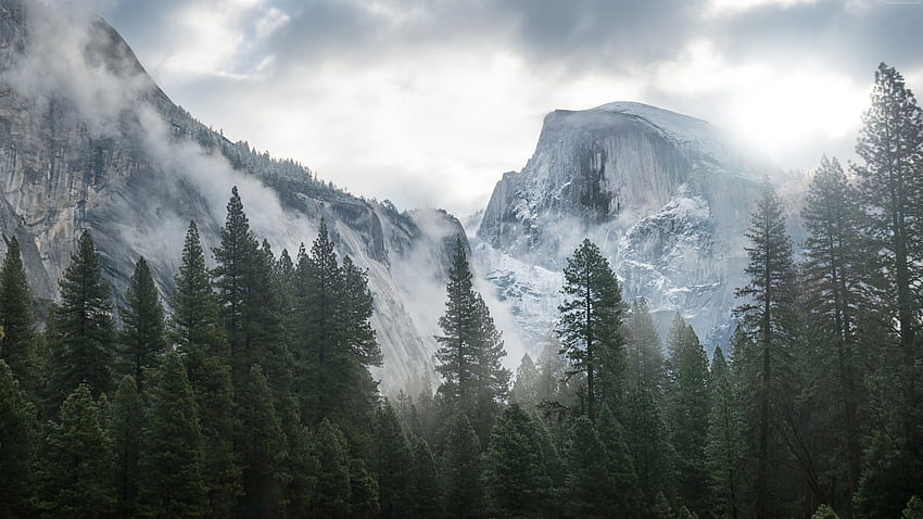 Yosemite , Natureza / Floresta: Yosemite, Green Aesthetic Mac papel de parede HD