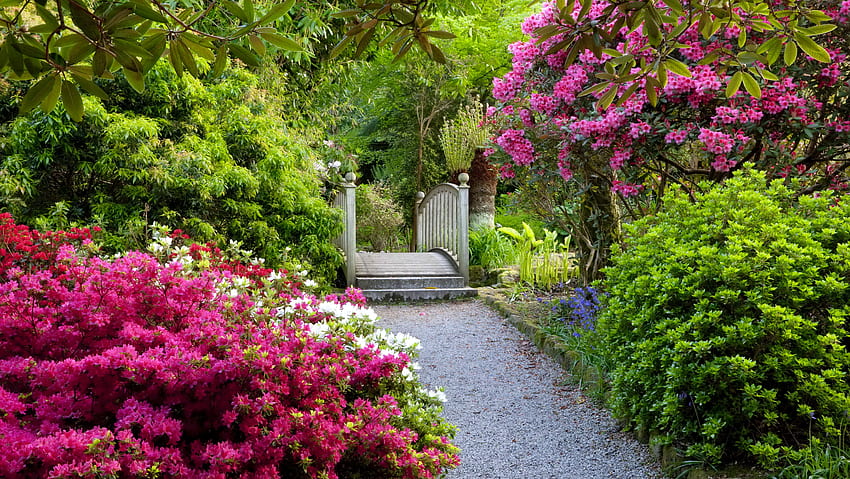 York Gate gardens - United Kingdom, UK, ประตู, สวน, สวรรค์, สวยงาม, York, ตรอกซอกซอย, ฤดูใบไม้ผลิ, เดิน, ฤดูร้อน, สวย, เขียวขจี, ดอกไม้, น่ารัก วอลล์เปเปอร์ HD