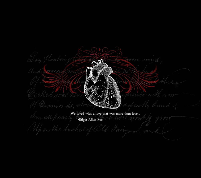 Coeur Anatomique, Anatomie Fond d'écran HD