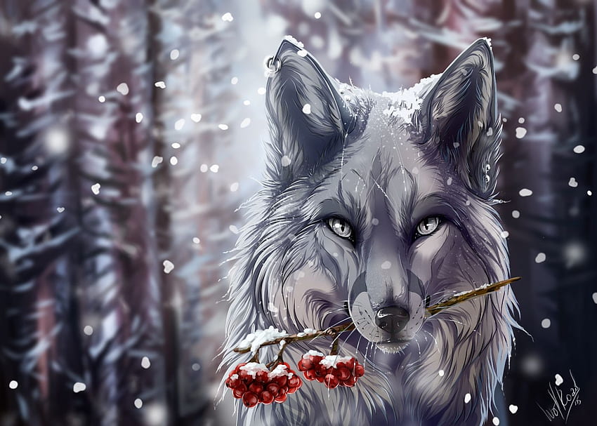 Weihnachtswolf, Weihnachtswölfe HD-Hintergrundbild