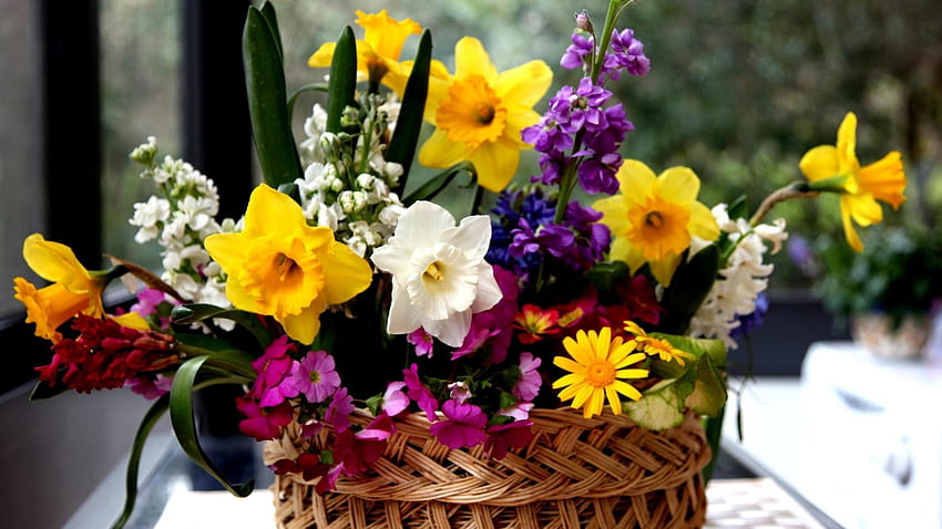 We Color the World in Spring, basket, colorful, bouquet, nature, flowers, spring HD wallpaper