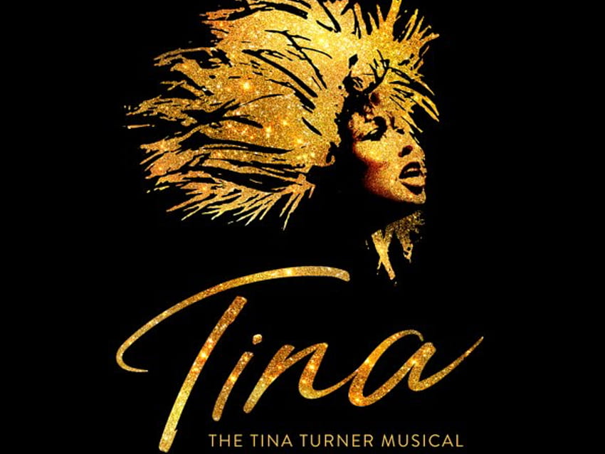 Tina Turner HD duvar kağıdı