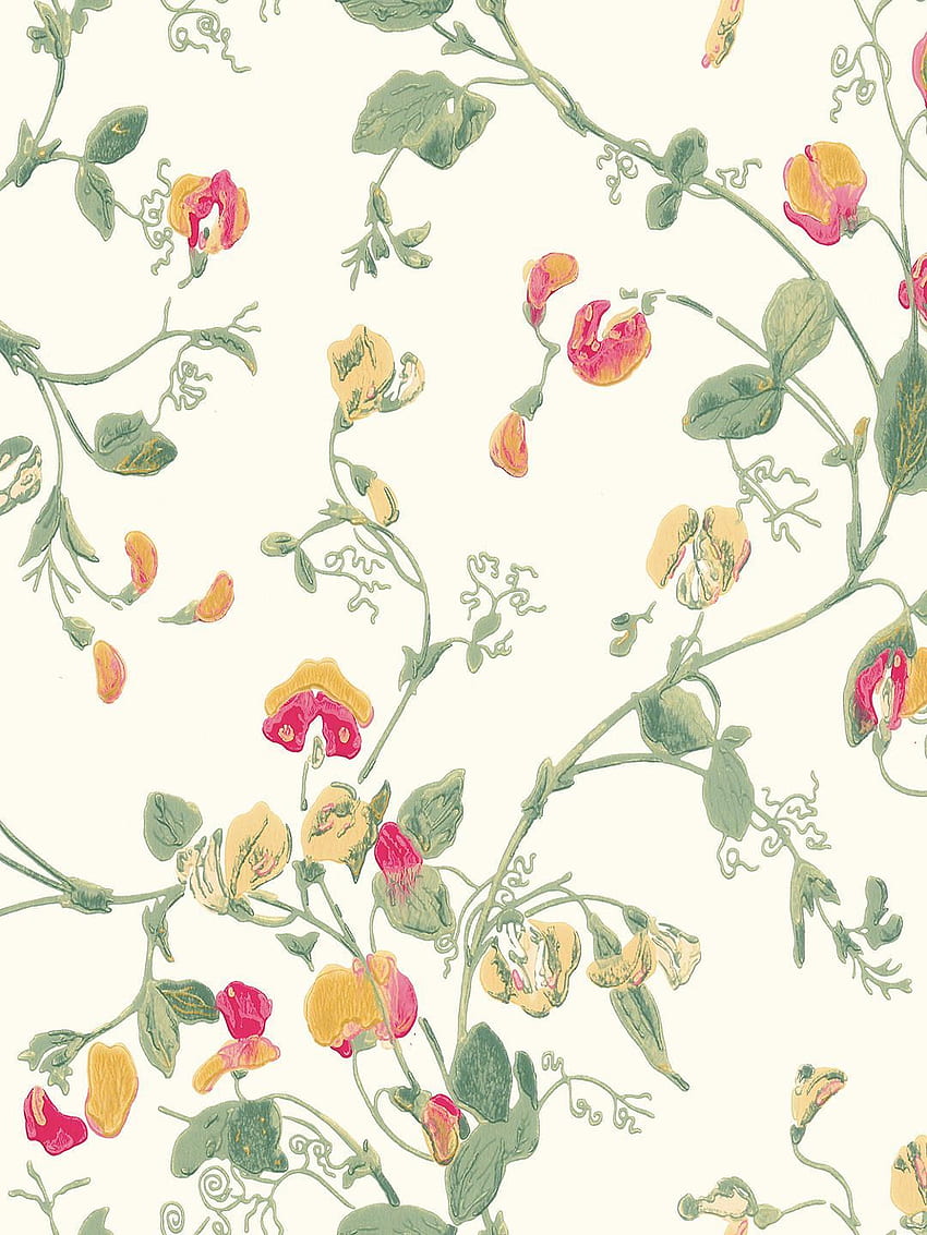 Cole & Son Sweet Pea , 100 6027. Cole And Son , Cole And Son, Sweet Pea ...