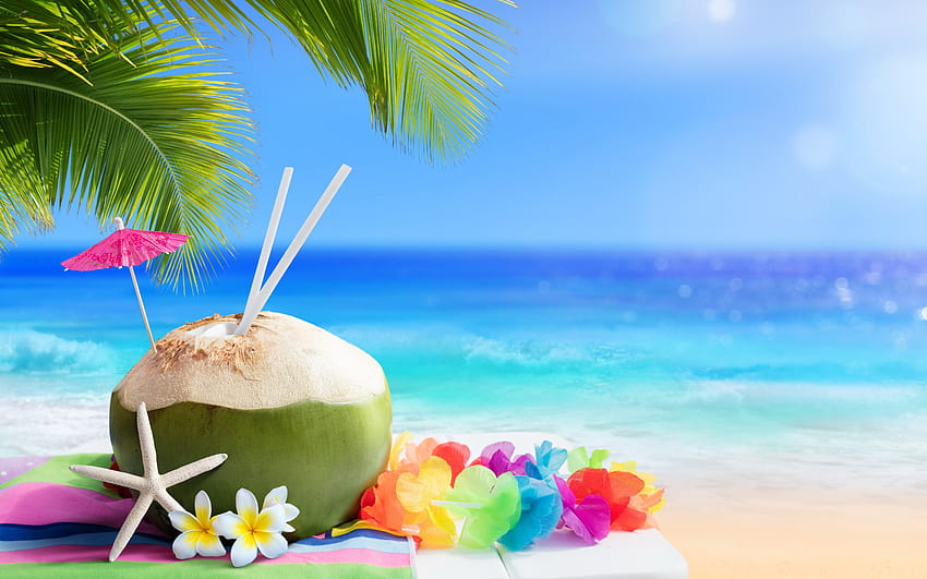 Tropical beach, Vacation, Summer, Coconut, Sea HD wallpaper