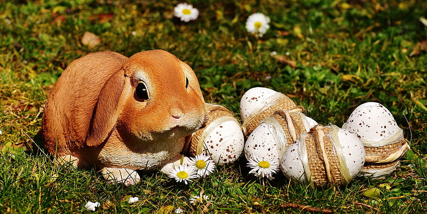 Holidays, Eggs, Easter, Rabbit HD wallpaper