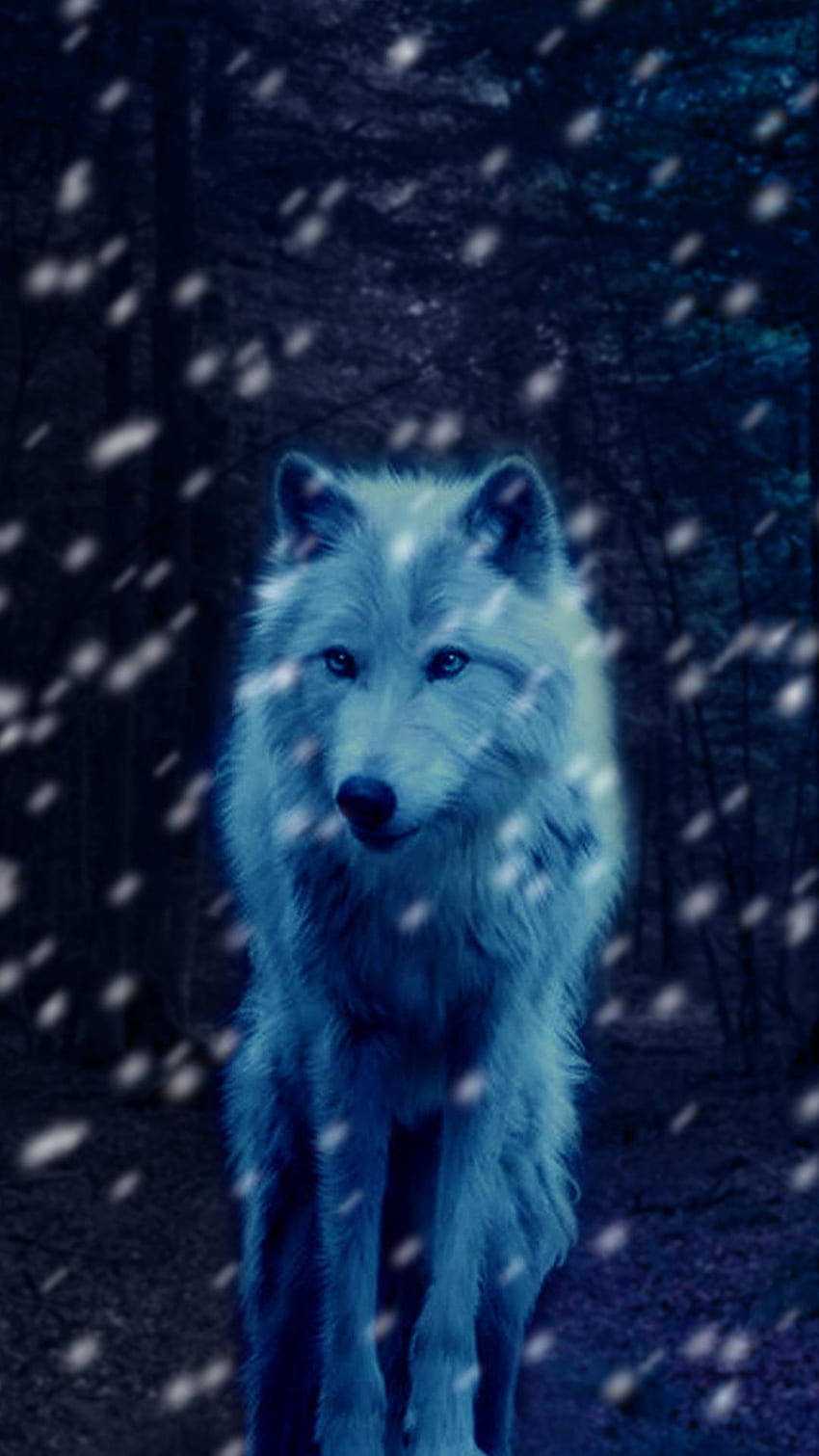 Galaxy ice wolf live for Android, Ice Fox HD電話の壁紙