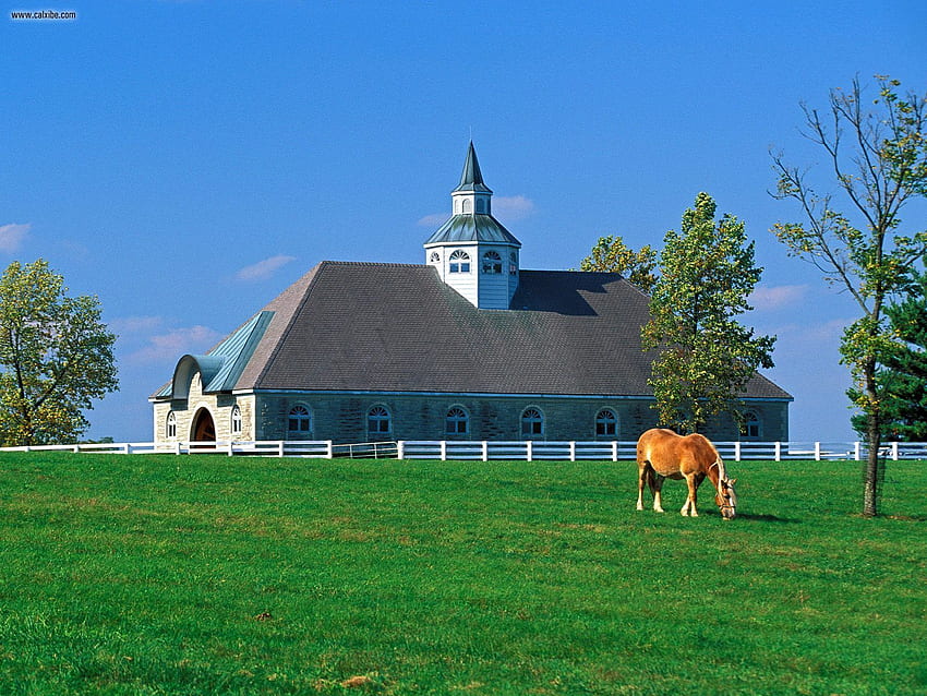 Known places: Donamire Horse Farm, Lexington, Kentucky HD wallpaper