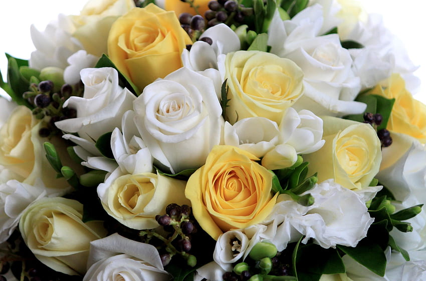 Fiori, rose, bouquet, composizione, magnificamente, è bello Sfondo HD