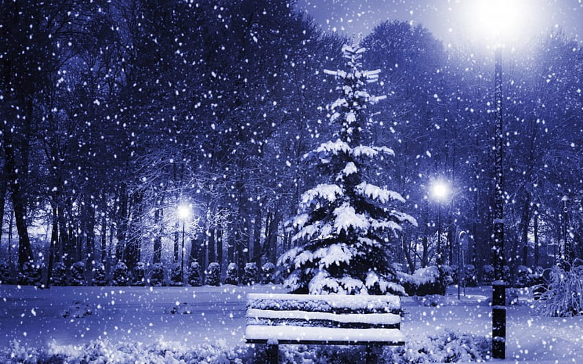 Sihirli Noel Gecesi, kış, gece, büyü, ışıklar, banka, kar, yılbaşı, ağaç HD duvar kağıdı