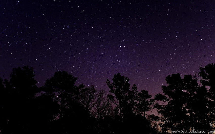 Yıldızlı Gökyüzü Gökyüzü Yıldız Ağacı Altında Gece Doğa Ağaçları. Arka plan HD duvar kağıdı