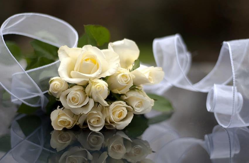 Fleurs, Roses, Reflet, Bouquet, Ruban adhésif, Blanche-Neige Fond d'écran HD