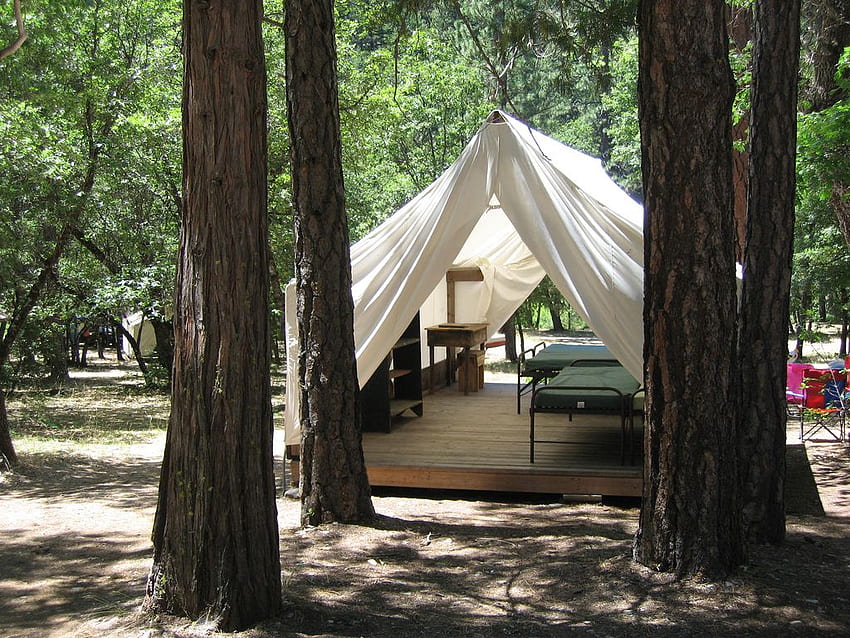 OFRC. Oakland Feather River Camp, Family Camping HD wallpaper