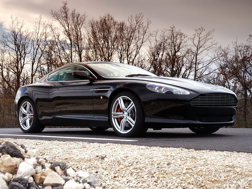 Sports, Auto, Trees, Sky, Aston Martin, Cars, Side View, Style, Db9, 2006 HD wallpaper