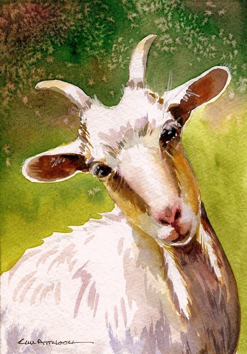 Ким Атул АКВАРЕЛ. Картини на селскостопански животни, Кози изкуство, Картини на кози HD тапет за телефон