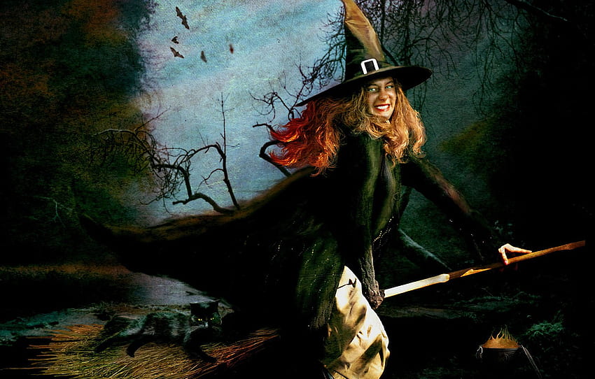 Halloween, witch, broom, black cat for , section праздники, Beautiful Witch Cat HD wallpaper
