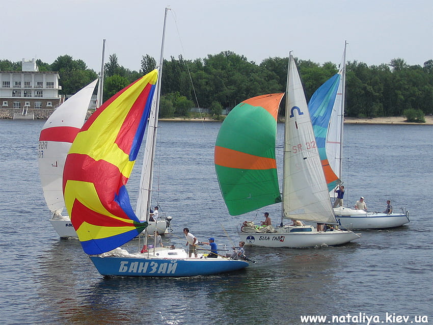 Colorful Sails, sailboats, sails, colorful, ocean HD wallpaper