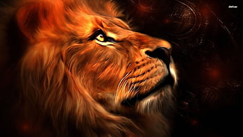 Best lion for high resolution HD wallpapers | Pxfuel
