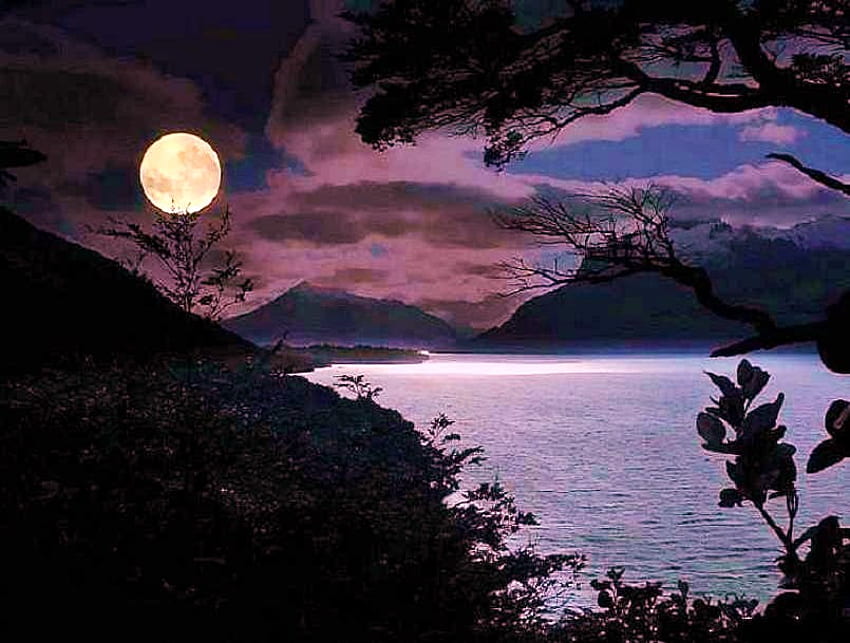 湾の月明かり、夜、月明かり、湾、雲、木、空、山 高画質の壁紙