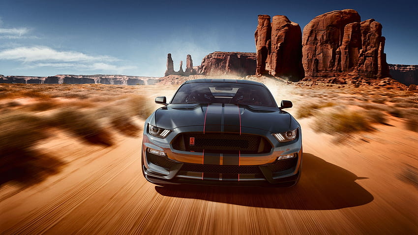 2019 Ford Mustang Shelby GT350 HD wallpaper