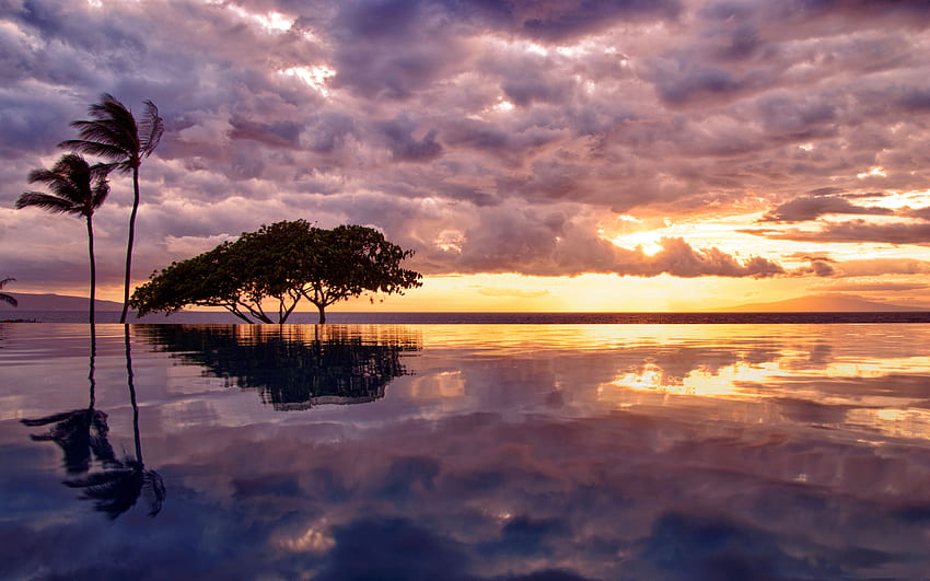 WINDY EVENING, sea, tree, reflection, trees, pool, sky, water, palm trees, sunset, ocean, cloud HD wallpaper